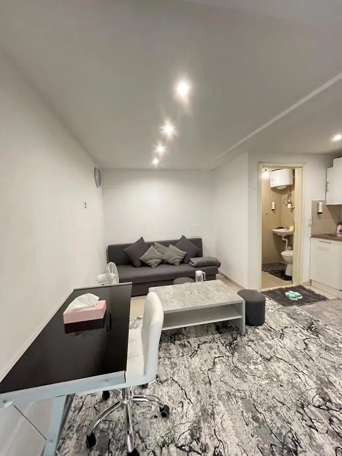 Traum Haus Apartment Vienna